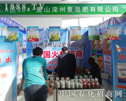 ���ݏ�(f��)��ʓ�ռ2014���(y��ng)���ϕ�(hu��)���c(di��n)