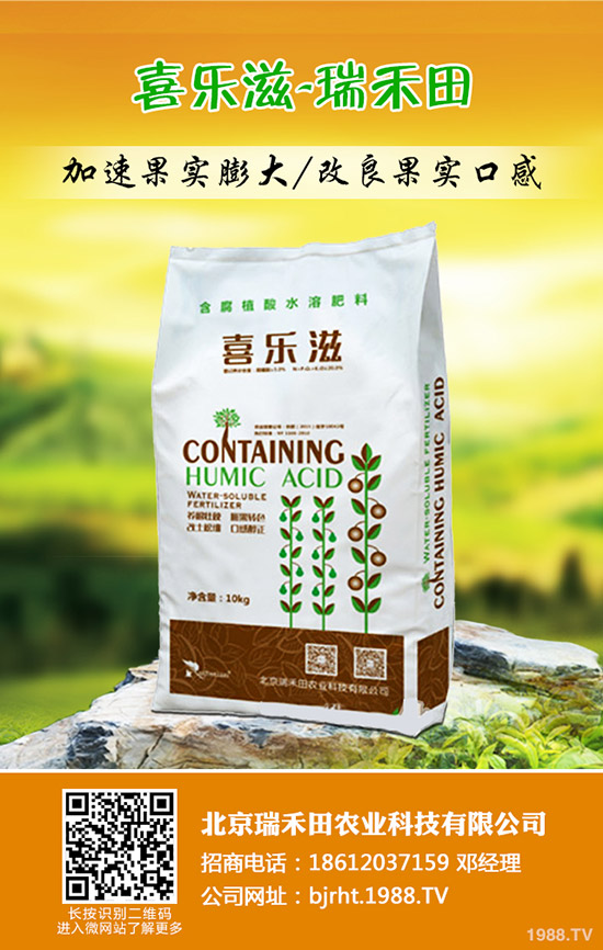 大蒜什么時候種植，大蒜種植方法是什么？