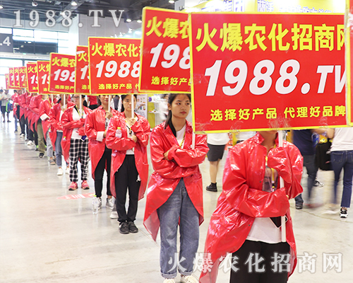     2019�Ϸ��r(n��ng)�Y���[���ϻ��r(n��ng)���W(w��ng)��Ӣ�ɳ�������(zh��n)����