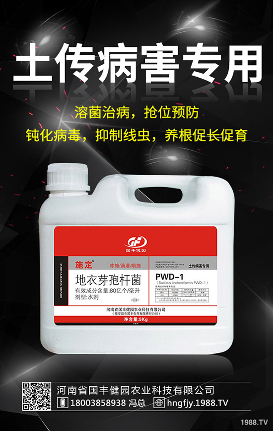 小麥除草劑什么時候打好，小麥打除草劑的時間及注意事項！