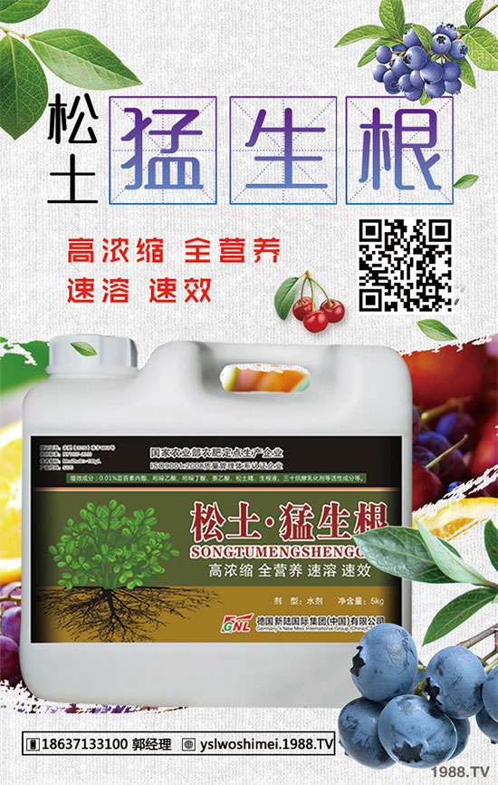 小麥苗期為什么死苗嚴(yán)重？小麥出苗期死苗咋補(bǔ)救？