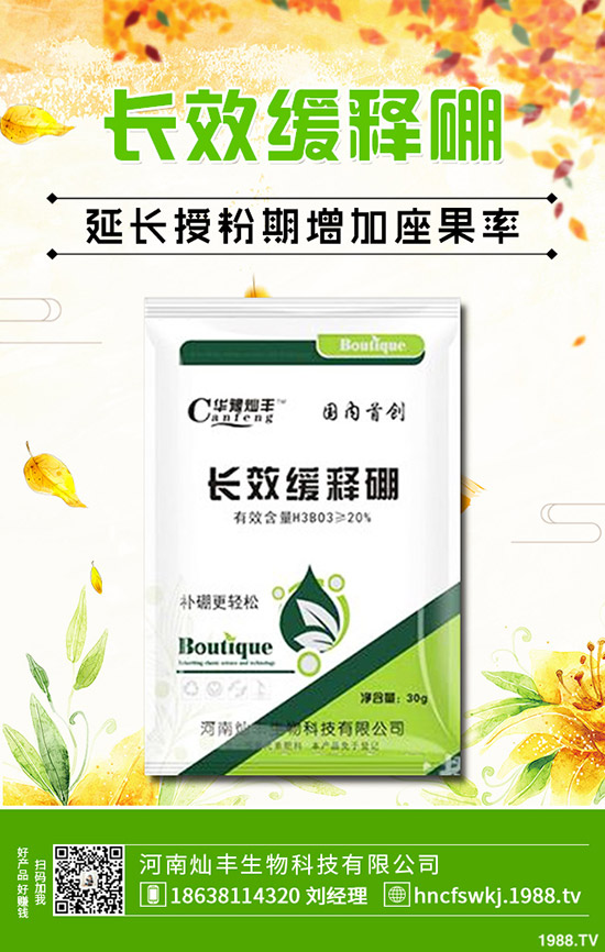 金錢草和銅錢草有什么不同？金錢草和銅錢草的區(qū)別哪些？