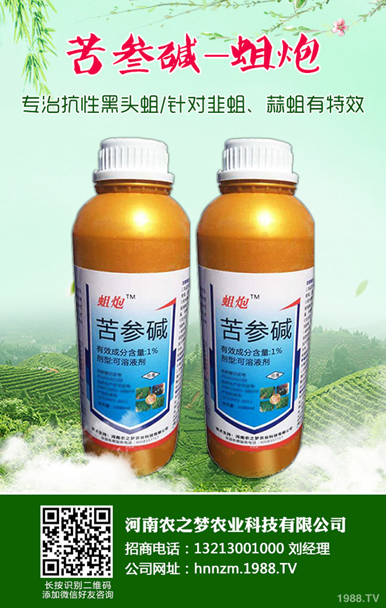 益母草的功效與作用，益母草的使用禁忌！