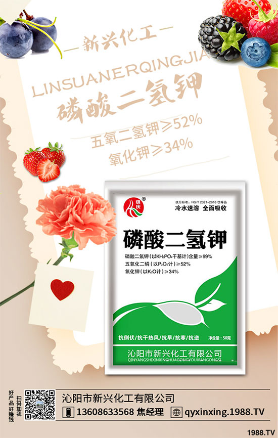 香蔥連作危害大，到底該如何解決？香蔥連作障礙及高產(chǎn)管理技術(shù)！