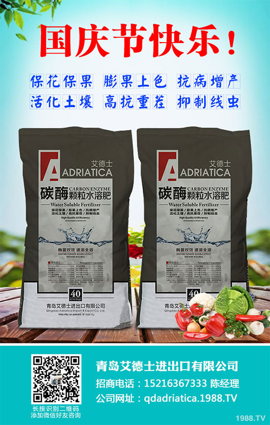 香蔥連作危害大，到底該如何解決？香蔥連作障礙及高產(chǎn)管理技術(shù)！