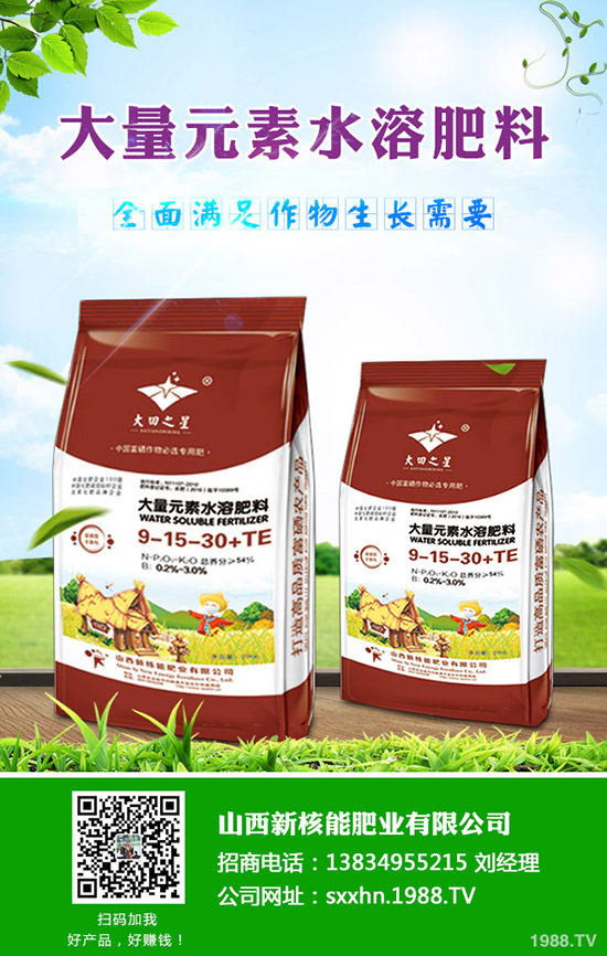     2019-10-19����(n��i)�Ȼ��r(ji��)�������(d��ng)�B(t��i)�������Xһ����