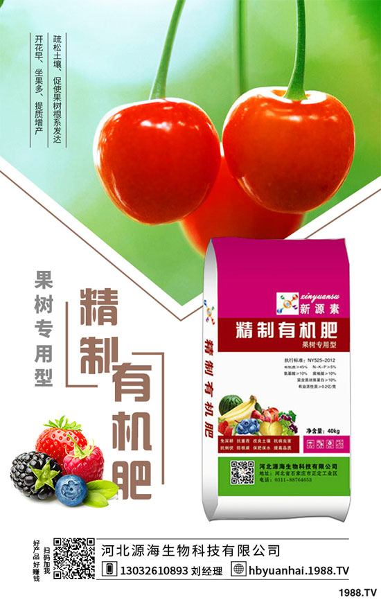 2020年香菇種植前景如何？2020年香菇種植賺錢嗎？