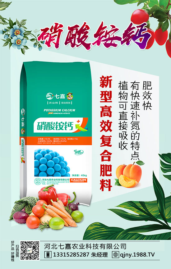 核桃黑斑病怎么辦？核桃黑斑病的癥狀及防治方法