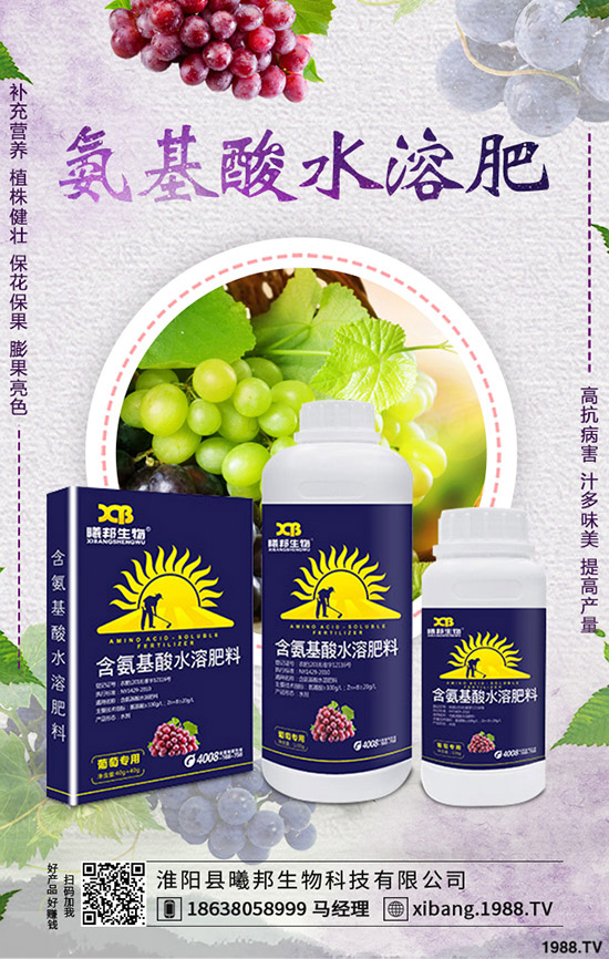 �＾�}����ô�Nֲ���＾�}���Nֲ���g(sh��)������Ҫ�c��