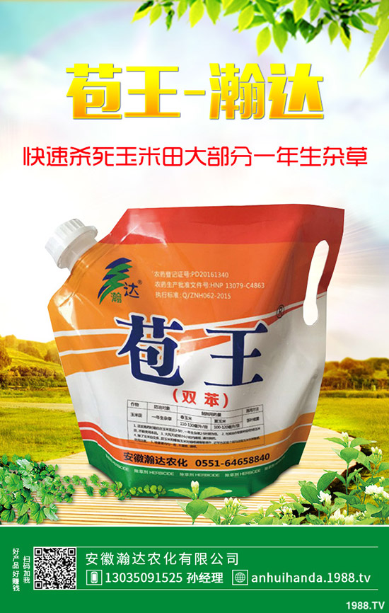 早春韭菜怎么施肥？韭菜施肥方法和注意事項(xiàng)！