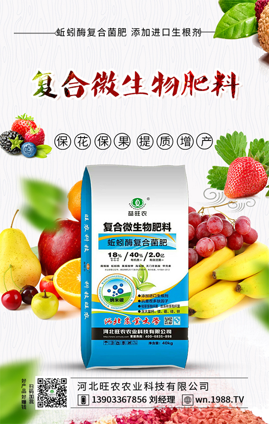 芥菜種子怎么播種？ 芥菜的種植方法！