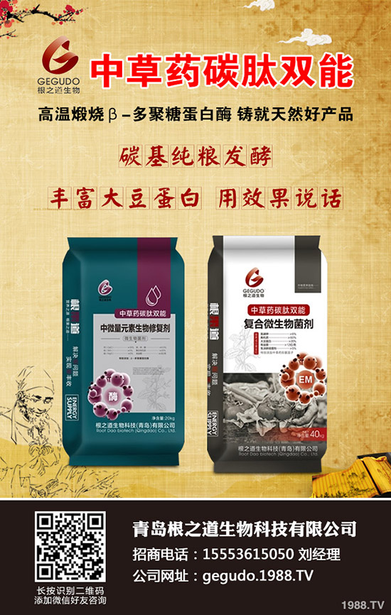     ���ص����ɱ�����2019��11��(gu��)��(n��i)�����Ј�(ch��ng)�����߄�(sh��)�A(y��)�y(c��)��