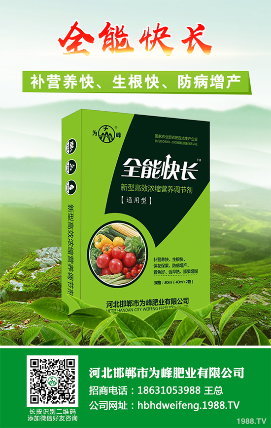 五味子樹該如何種植？五味子規(guī)模化種植技術