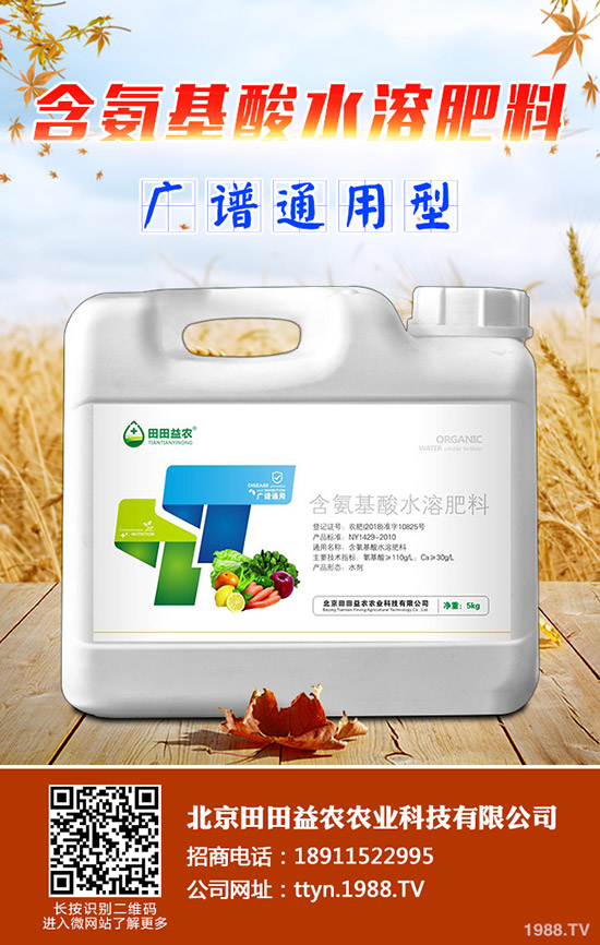 ⛷ʃr���^�m(x��)���{(di��o)��⛷ʃr������һ�[2019-11-14