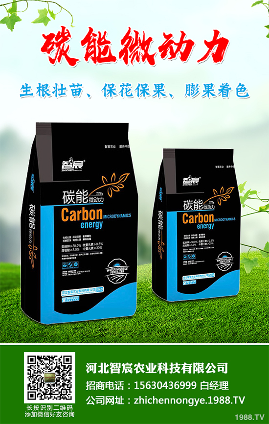 ���������߲˷Nֲԓע��ʲô����ӛ�e�M(j��n)�@�����`�^(q��)