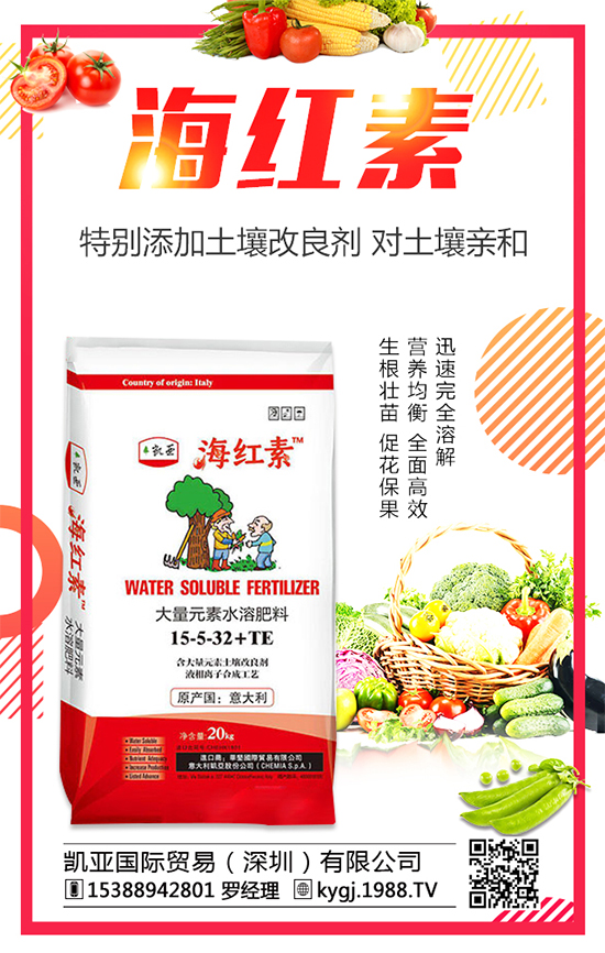 �����˵ķNֲ�r�g�����������˷Nֲ������