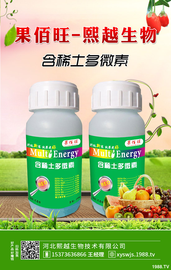 萵筍什么時候種植，萵筍種植要點有哪些？