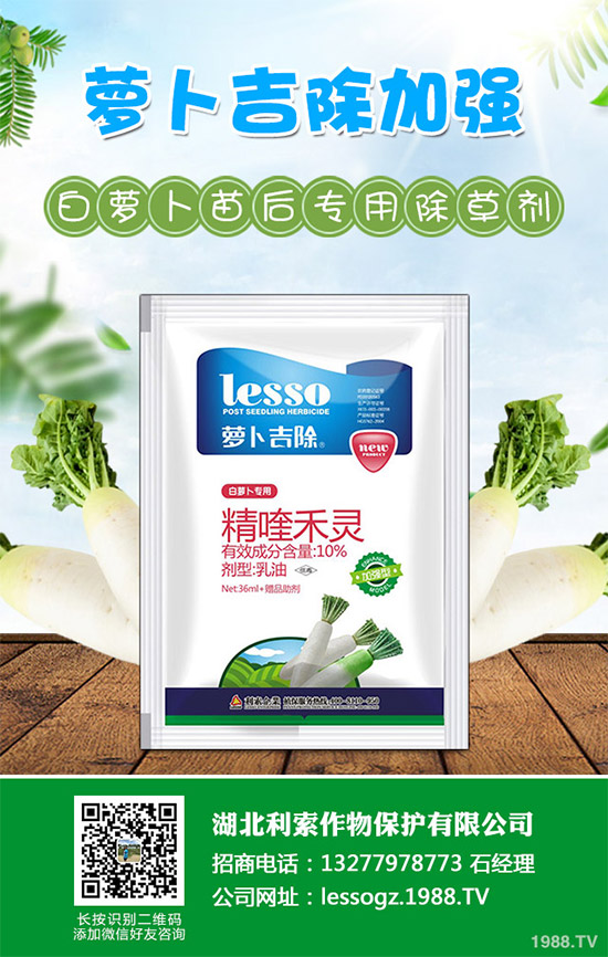 ���ܳ��݄��r������