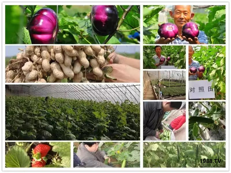 �VԴ�S����⛡�����Ʒ����1����=8���ЙC�����½�Դ�^ֱ�l(f��)������