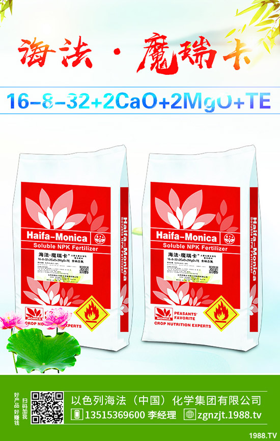     2019年11月中旬磷酸二銨價格行情走勢綜合分析！