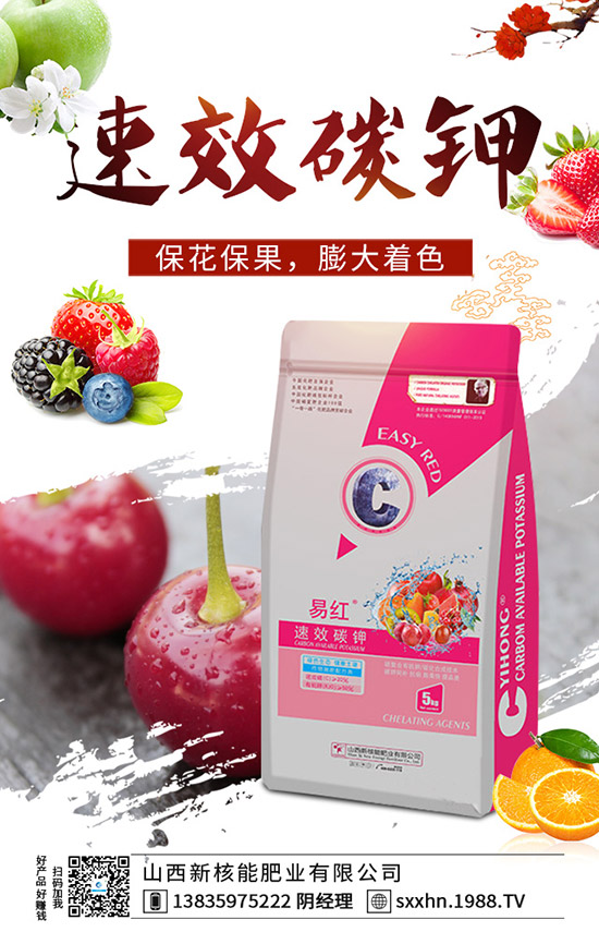     ���@�ɽ����^����2019��11��19��������@�Ј������r��1-(1938)