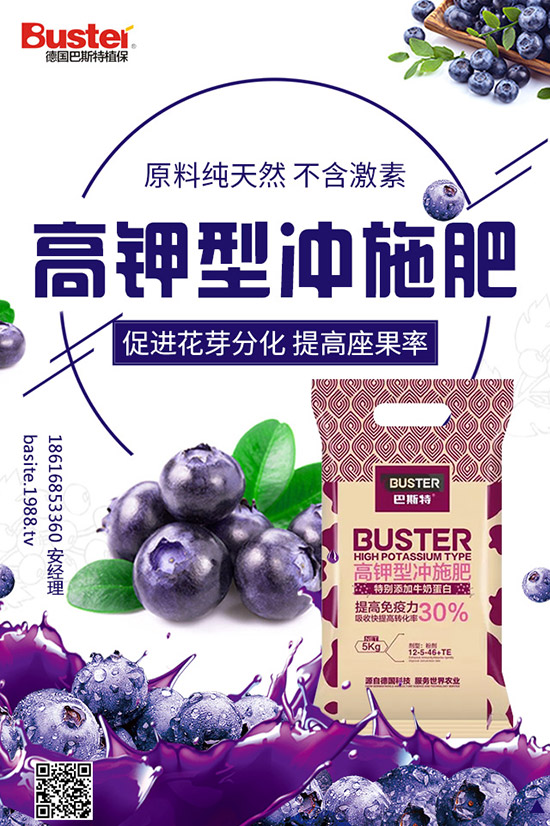 番茄灰霉病和葉霉病都有啥區(qū)別？番茄灰霉病如何防治？