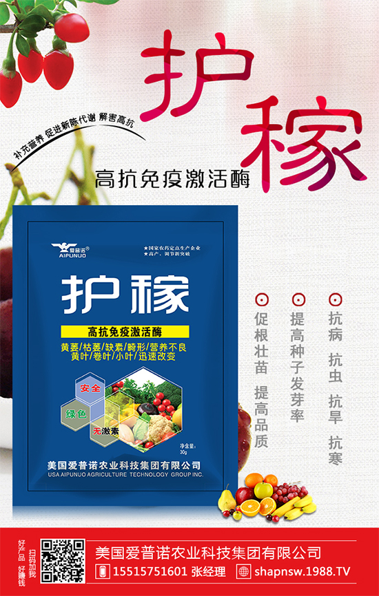 秋冬菠菜種植品種怎么選？越冬菠菜凍藏方法要點！