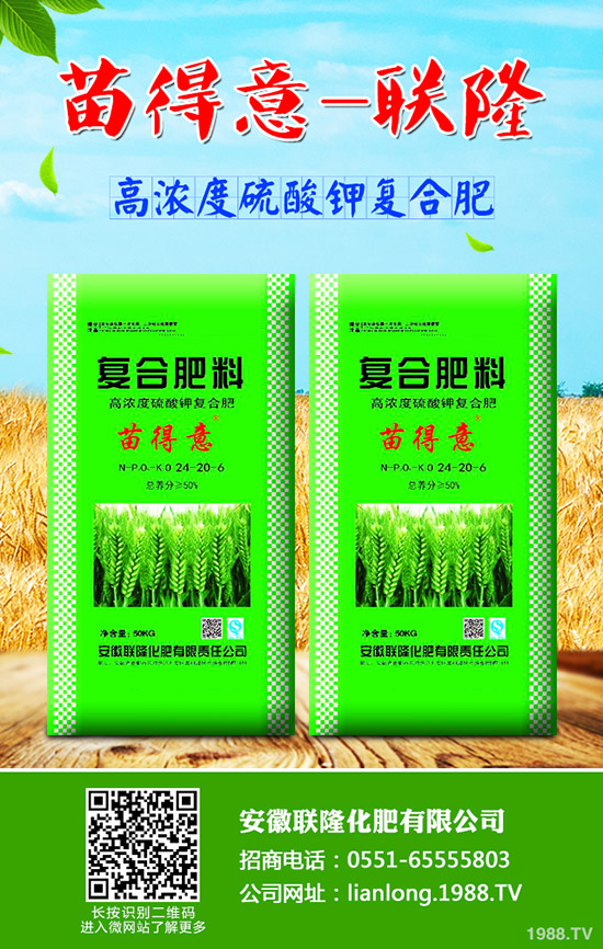 ��ţ��?q��)����w��ʲô��̎��ţ��ĠI(y��ng)�B(y��ng)�r(ji��)ֵ����Ч!