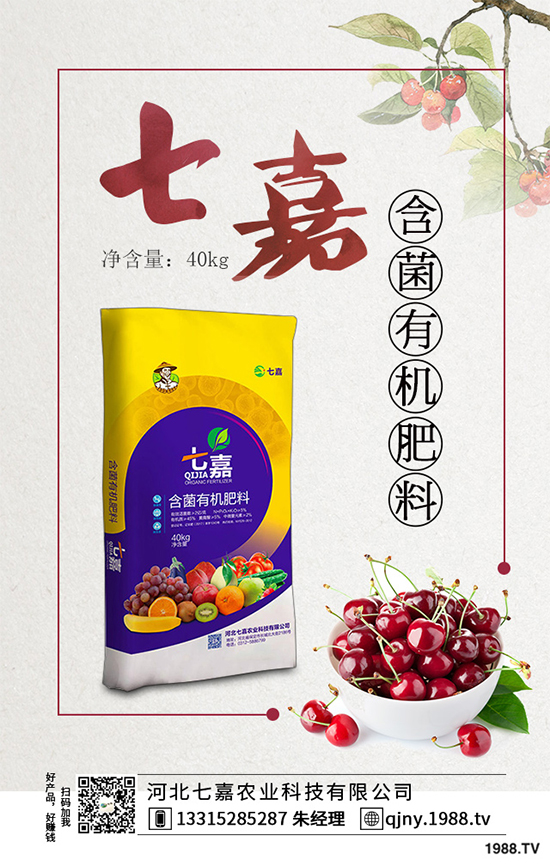 11�·��r(n��ng)�°�������Щ��2019�ﶬ�߲˷Nֲָ��