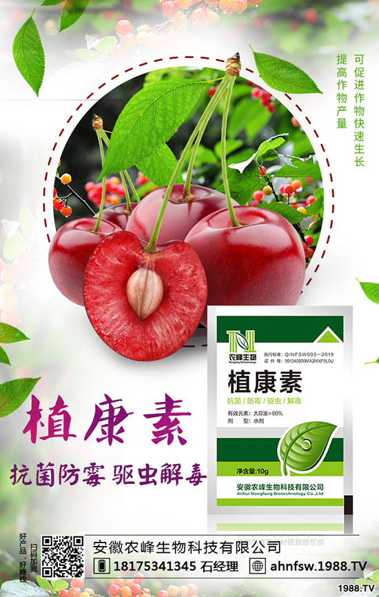 ��(d��ng)�w��ô�Nֲ����(d��ng)�w�NֲЧ�漰���༼�g(sh��)��