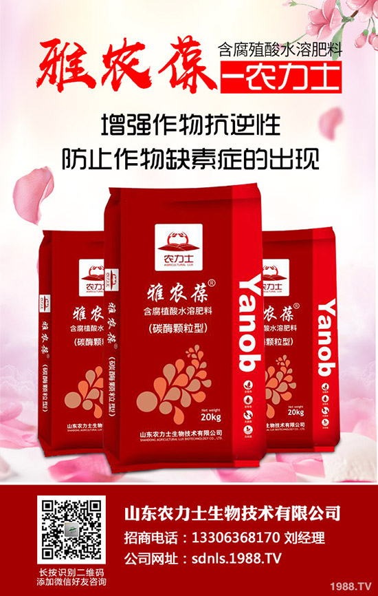     �M��11����Ѯ�����������Ј���������߄��A(y��)�y��