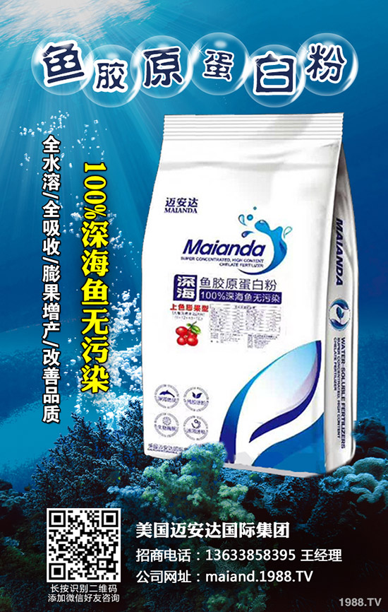     2020年香菇種植賺錢(qián)么？前景怎樣？種植品種推薦！