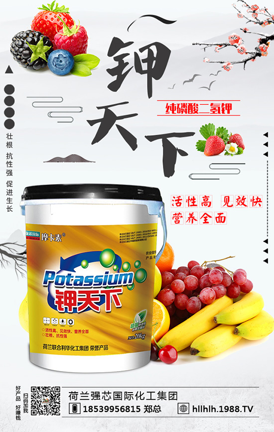 荷蘭強(qiáng)芯國(guó)際化工集團(tuán)2