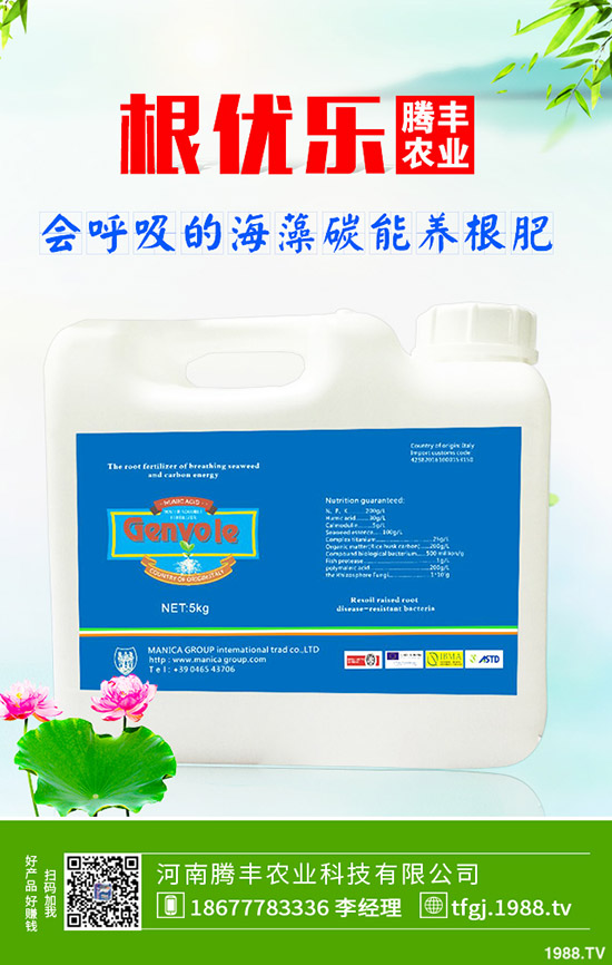 石榴褐斑病導(dǎo)致發(fā)黃落葉怎么辦？石榴褐斑病的防治要點(diǎn)！