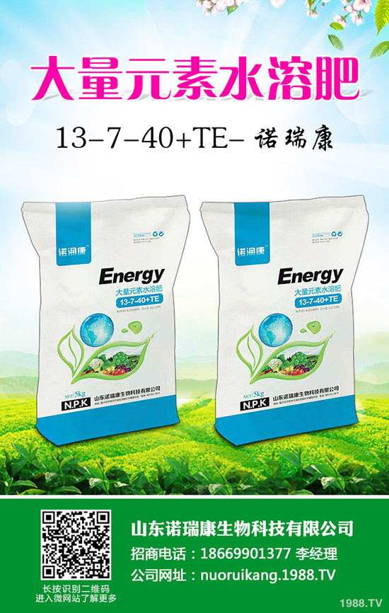     ����(n��i)�������镺��(w��n)��2019��11��22�ո��؅^(q��)�����������S��(b��o)�r(ji��)һ�[