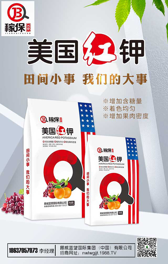 瑞香花養(yǎng)殖方法有哪些？瑞香花養(yǎng)殖注意事項(xiàng)！