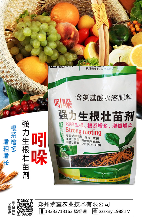 春芝麻種植時間是什么時候嗎?春芝麻種植管理技術(shù)!