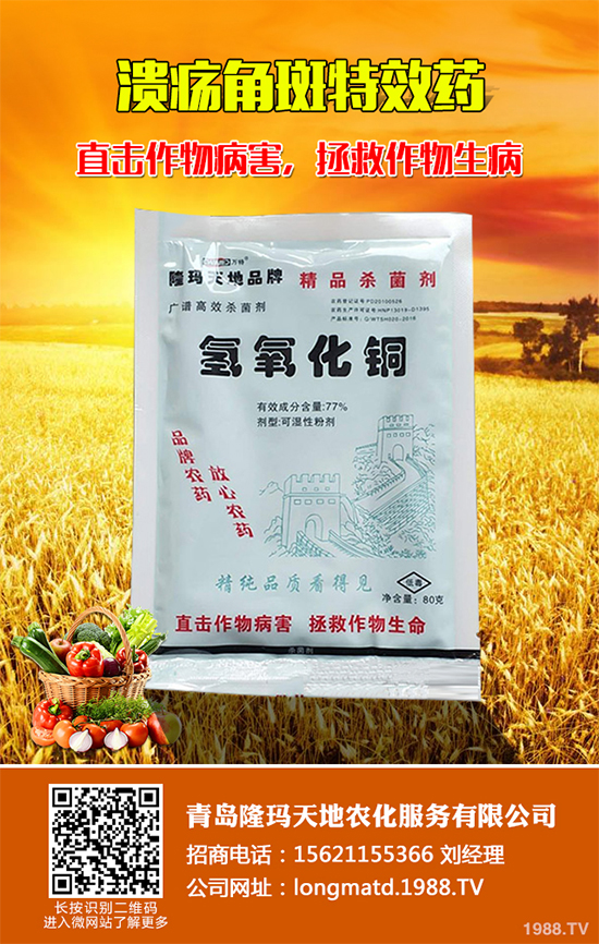 ���宐������