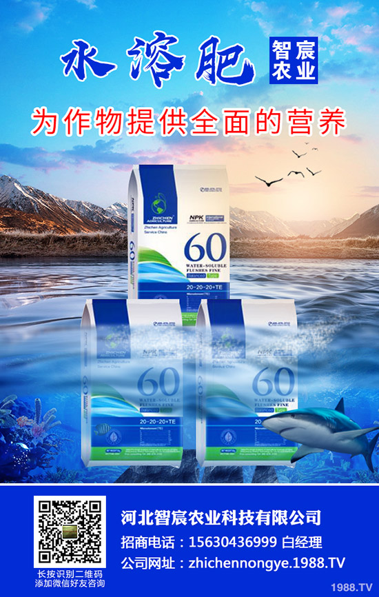 ���ӽ�����ʲôԭ����ɵ������ӽ�����η�����