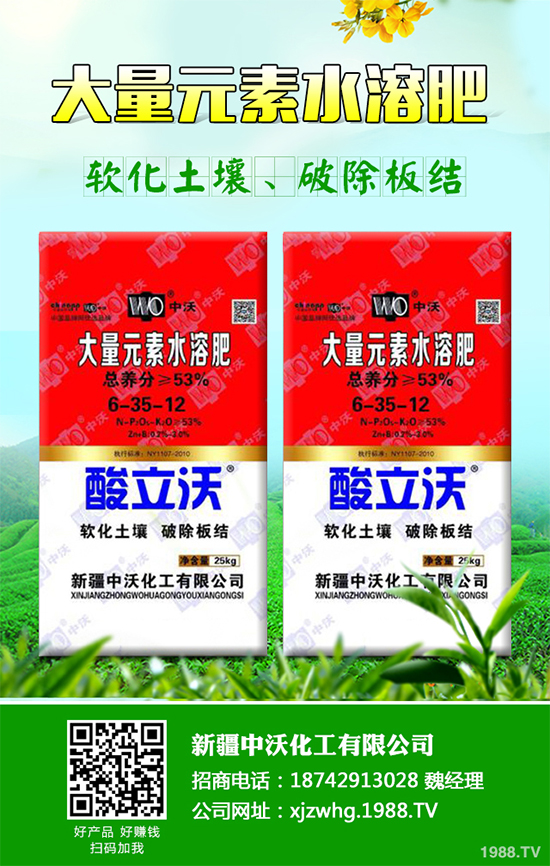 白皮松經(jīng)濟(jì)效益如何？2020白皮松的種植前景分析