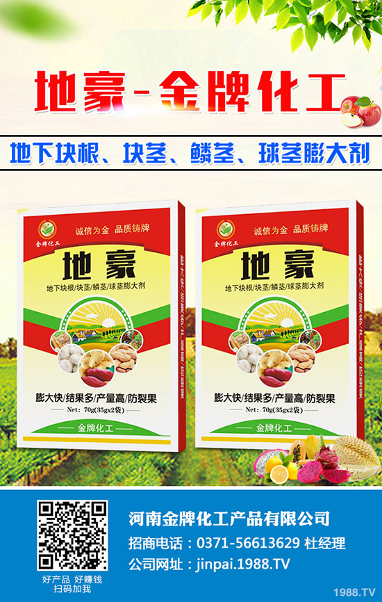 菠菜什么時(shí)候種更合適？菠菜種植技術(shù)和時(shí)間！