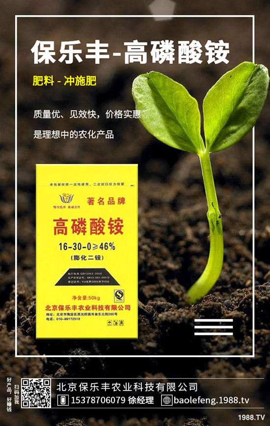 ����(n��i)���@�r����ϝq����2019.11.29���ո������@���S��r��