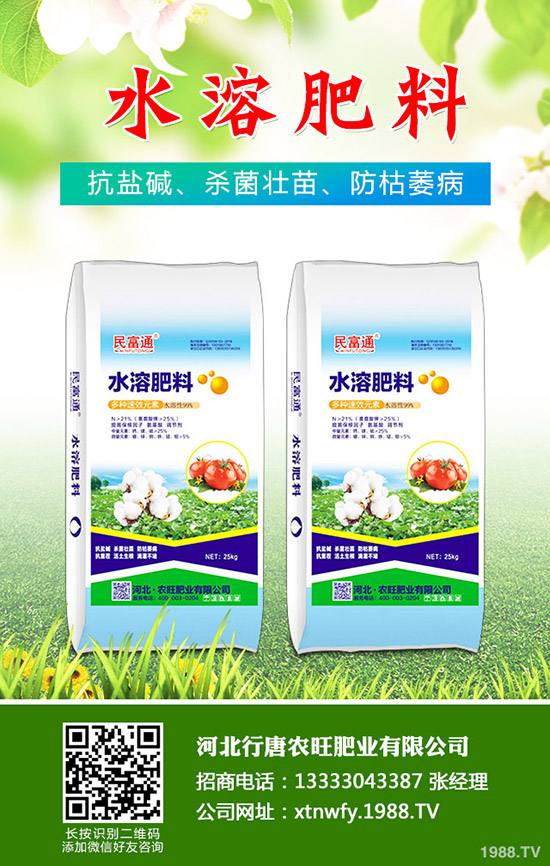 2019.11.29��(f��)�Ϸ����鲻�ز��������ڏ�(f��)�Ϸʃr���߄ݷ�����