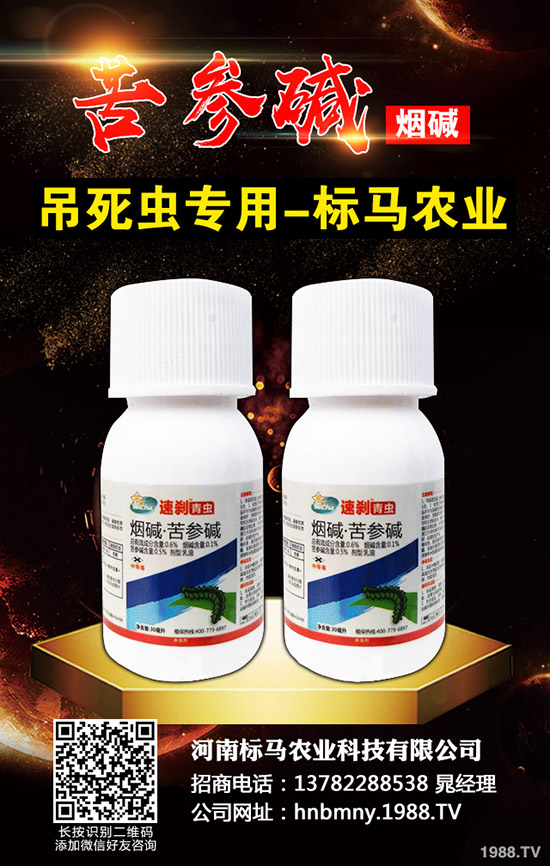 辣椒蚜蟲(chóng)的危害癥狀及發(fā)病條件，辣椒有哪些防治方法？