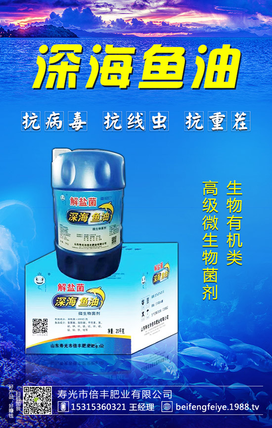 黑枸杞的種植方法，黑枸杞的種植前景