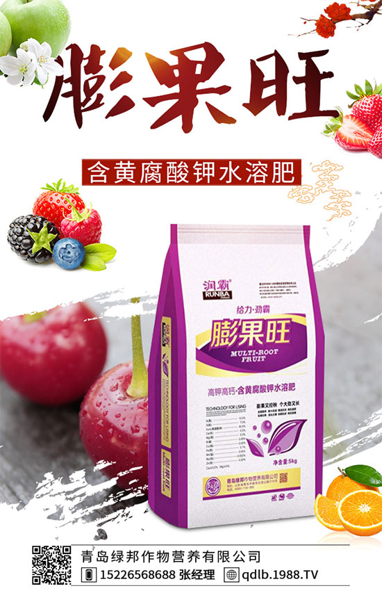 草莓種植覆蓋地膜有什么好處？鋪地膜時注意事項你知道嗎？