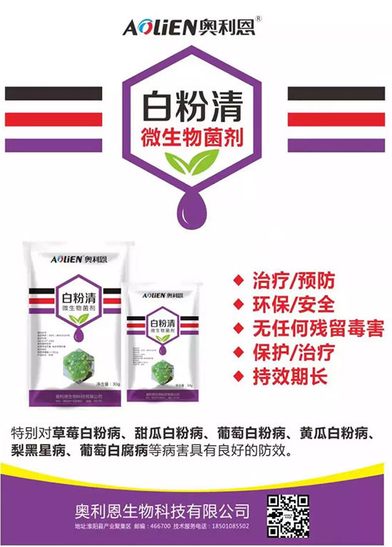 �׷۲�������(f��)�y�p���� ӛס�@��(g��)ˎ����Ч���ΰ׷۲����P����