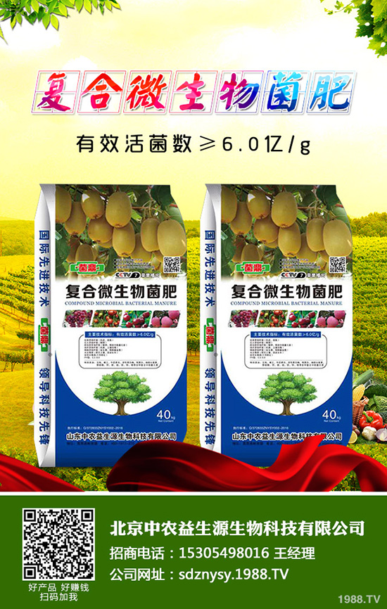 �����˵Ĺ�Ч�c�����������˵ĠI�B(y��ng)�rֵ��