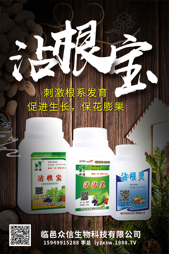 大棚種植黃瓜優(yōu)質(zhì)高產(chǎn)管理，肥料需要這樣施！