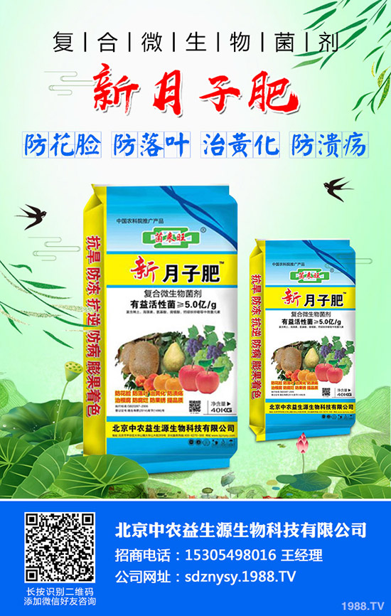     紅棗迎來的上市期！2019年度紅棗價格行情走勢及供需情況！